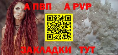 эйфоретик Кингисепп